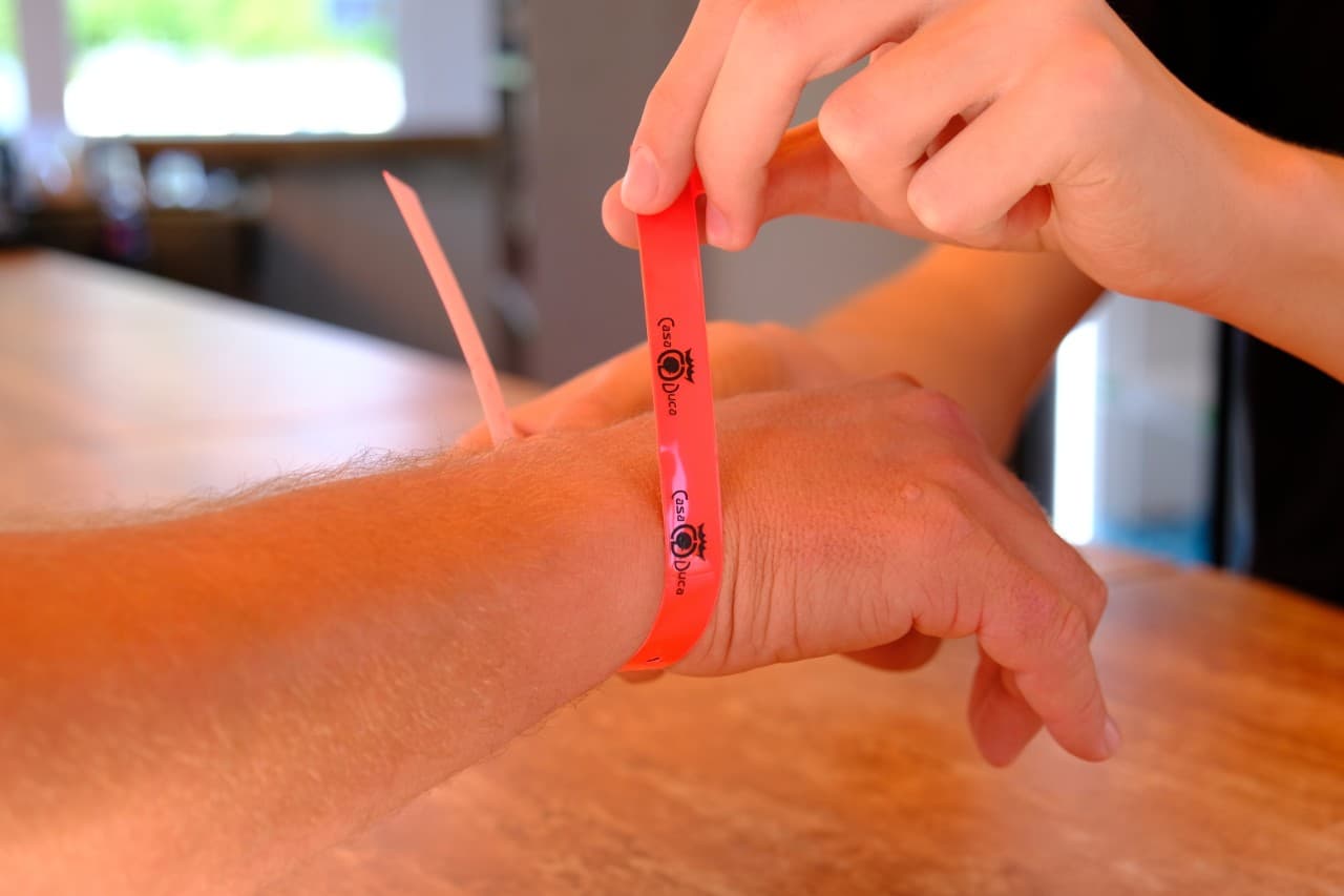 Poza galerie Casa Duca 7